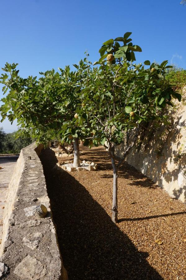 Cortijo del Aguila Villa Mojácar Exterior foto